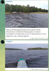 560x809