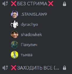 288x292