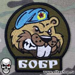 604x604