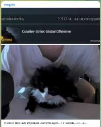 439x548