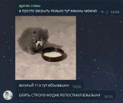 430x361