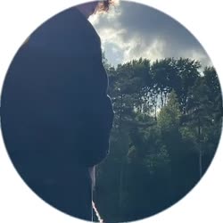 384x384