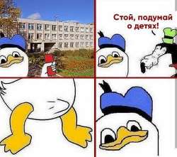 500x443