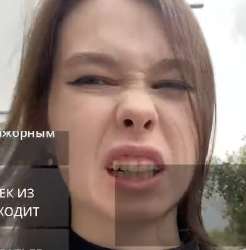 541x549
