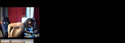 1168x406
