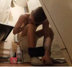 511x477