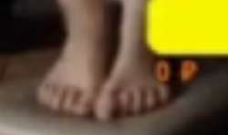461x276