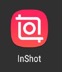 258x298