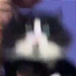 430x427