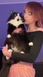 480x854
