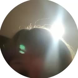 384x384