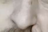 165x109