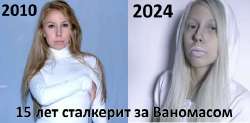 489x241