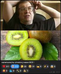 590x719