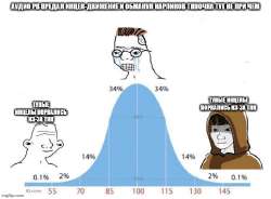 675x499