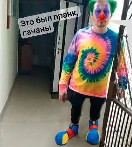 384x428