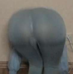 263x269
