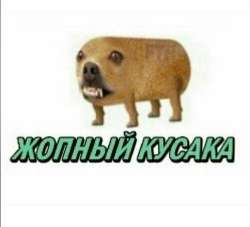 735x669