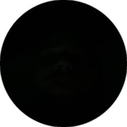 384x384