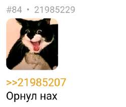 568x484