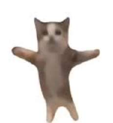269x291
