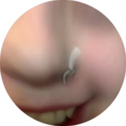 384x384