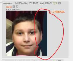 402x335
