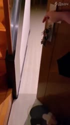 480x854
