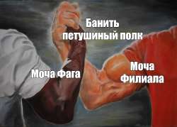 768x550