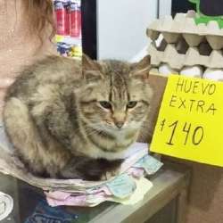 399x399