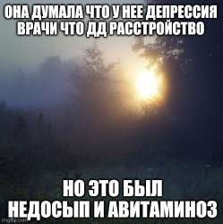 500x502
