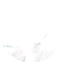 384x384