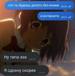735x736