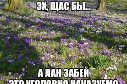1280x855