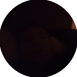 384x384