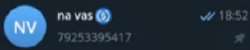 288x58
