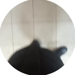 384x384