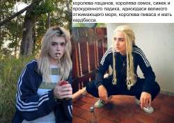 1289x916