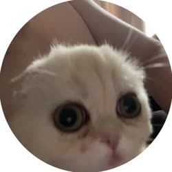 400x400