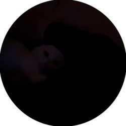400x400