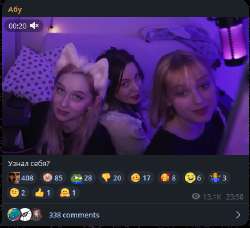 435x398