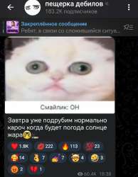 1079x1386