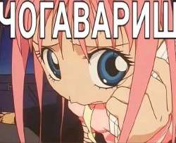 528x429
