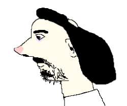510x428