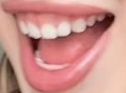 549x405