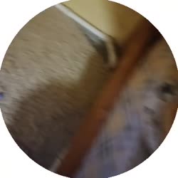 384x384