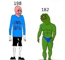 347x320