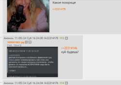 832x587