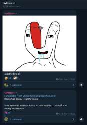 506x724