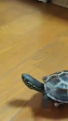 360x640